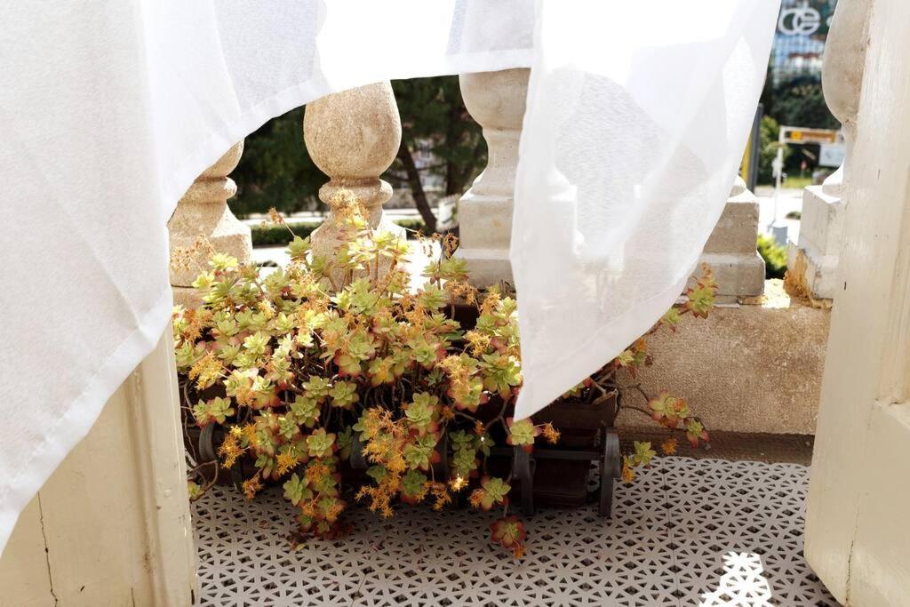 Central - Charming Historic Gem - Modern Comforts Pula